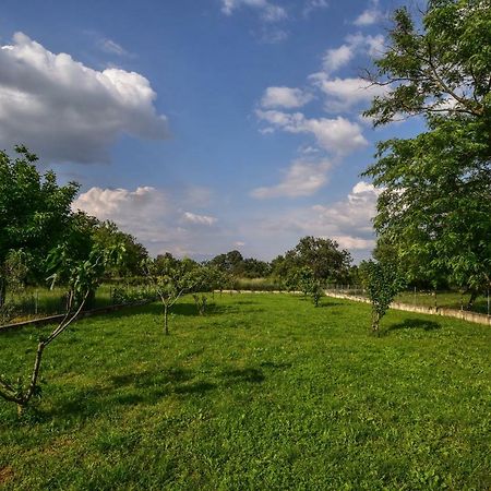 Villa Ankin Dvor Galovac  Exterior foto