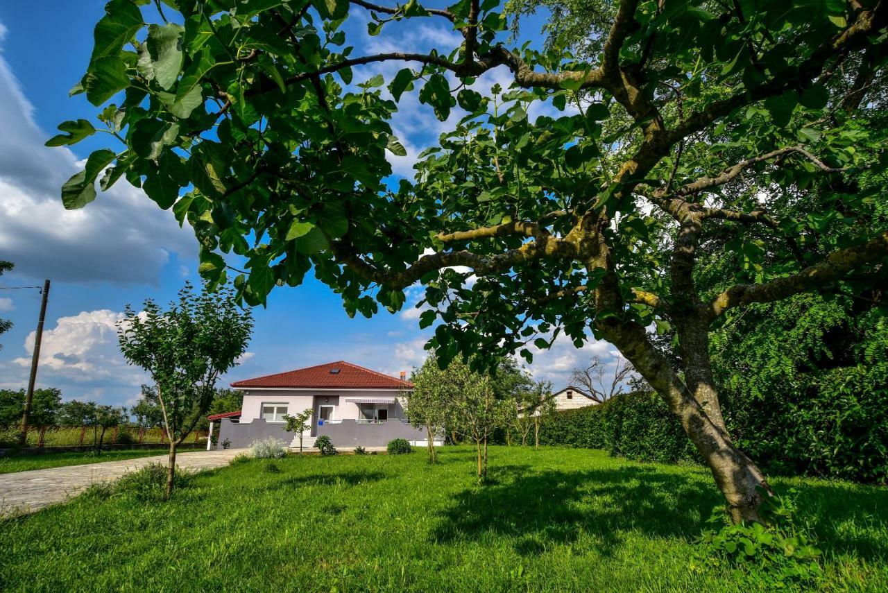 Villa Ankin Dvor Galovac  Exterior foto